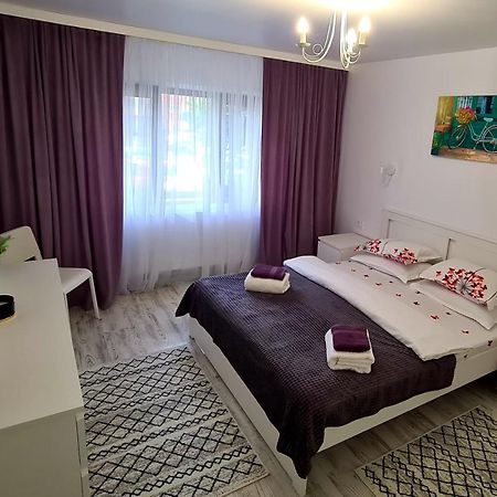 La Fluturi Apartament Appartement Suceava Buitenkant foto