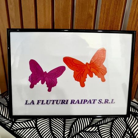 La Fluturi Apartament Appartement Suceava Buitenkant foto