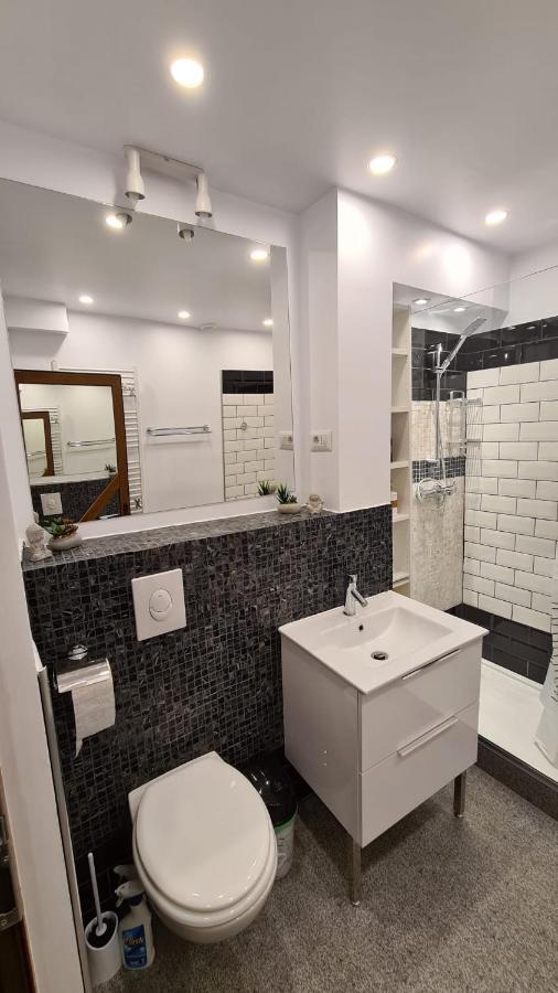 La Fluturi Apartament Appartement Suceava Buitenkant foto