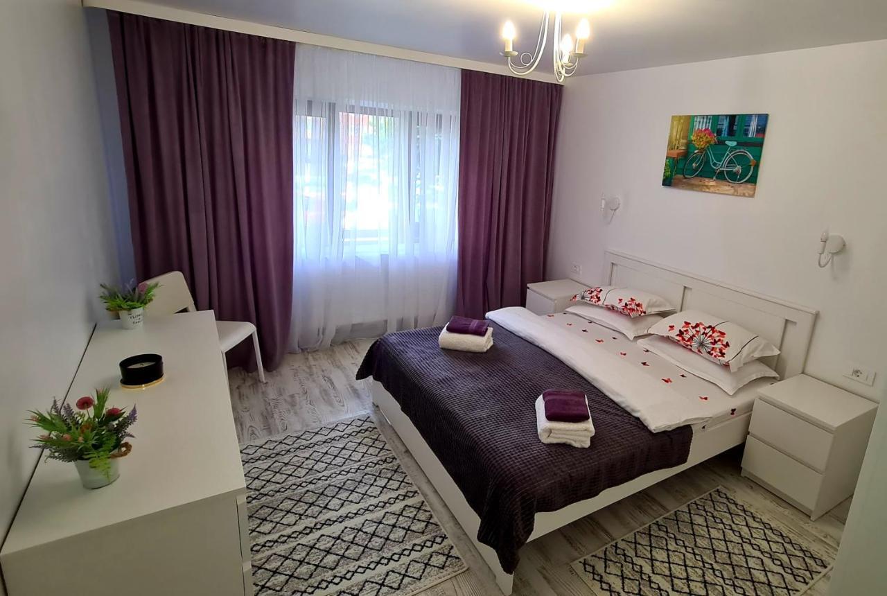 La Fluturi Apartament Appartement Suceava Buitenkant foto