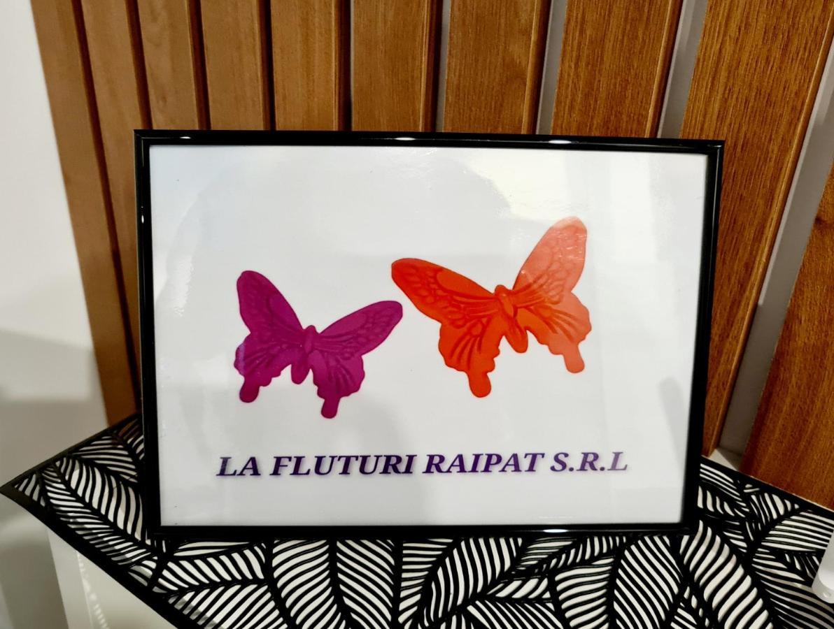 La Fluturi Apartament Appartement Suceava Buitenkant foto